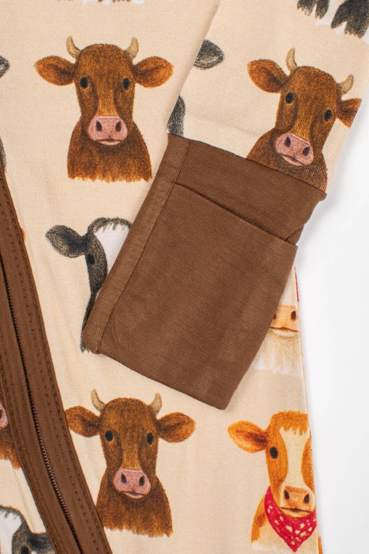 Cows Zippy