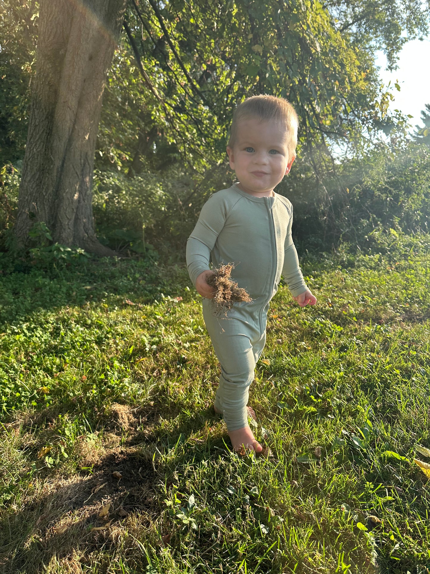 Grove Zippy