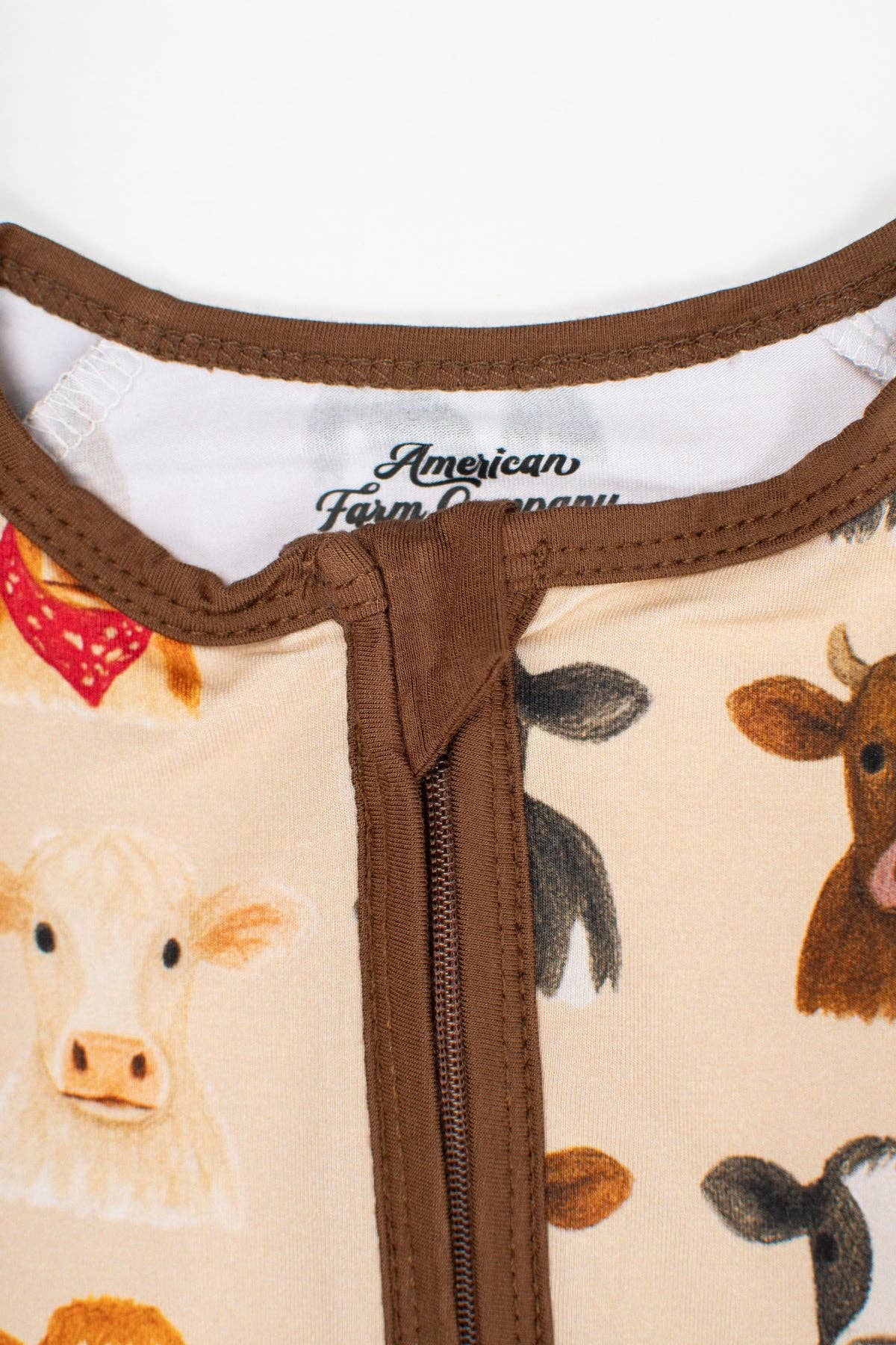 Cows Zippy