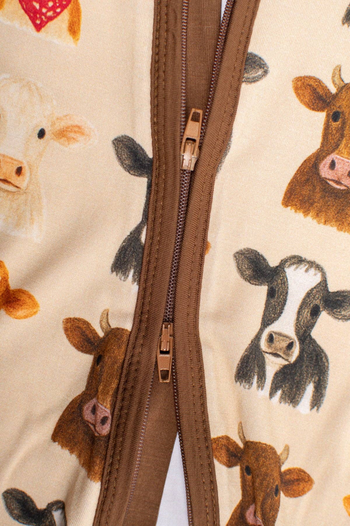 Cows Zippy